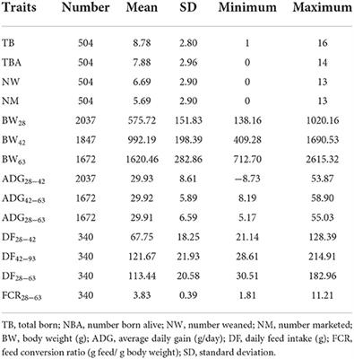 Genotype by heat conditions interaction effects on growth and litter traits in rabbits